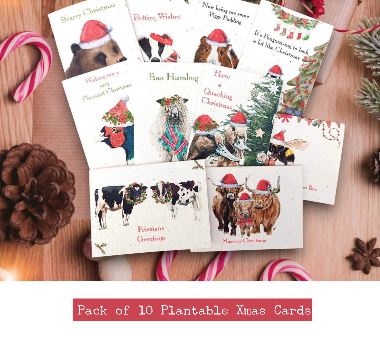 Christmas Plantable seed cards pack of 10 with envelopes - Eco friendly Christmas cards - Flower seed Christmas cards- Pack of 10 farm themed Christmas cards