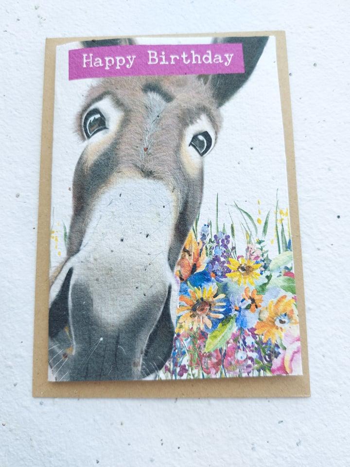 Eco Friendly PLANTABLE Donkey Funny Birthday Seed Cards- Birthday card Wildflower cards -Seed paper cards-