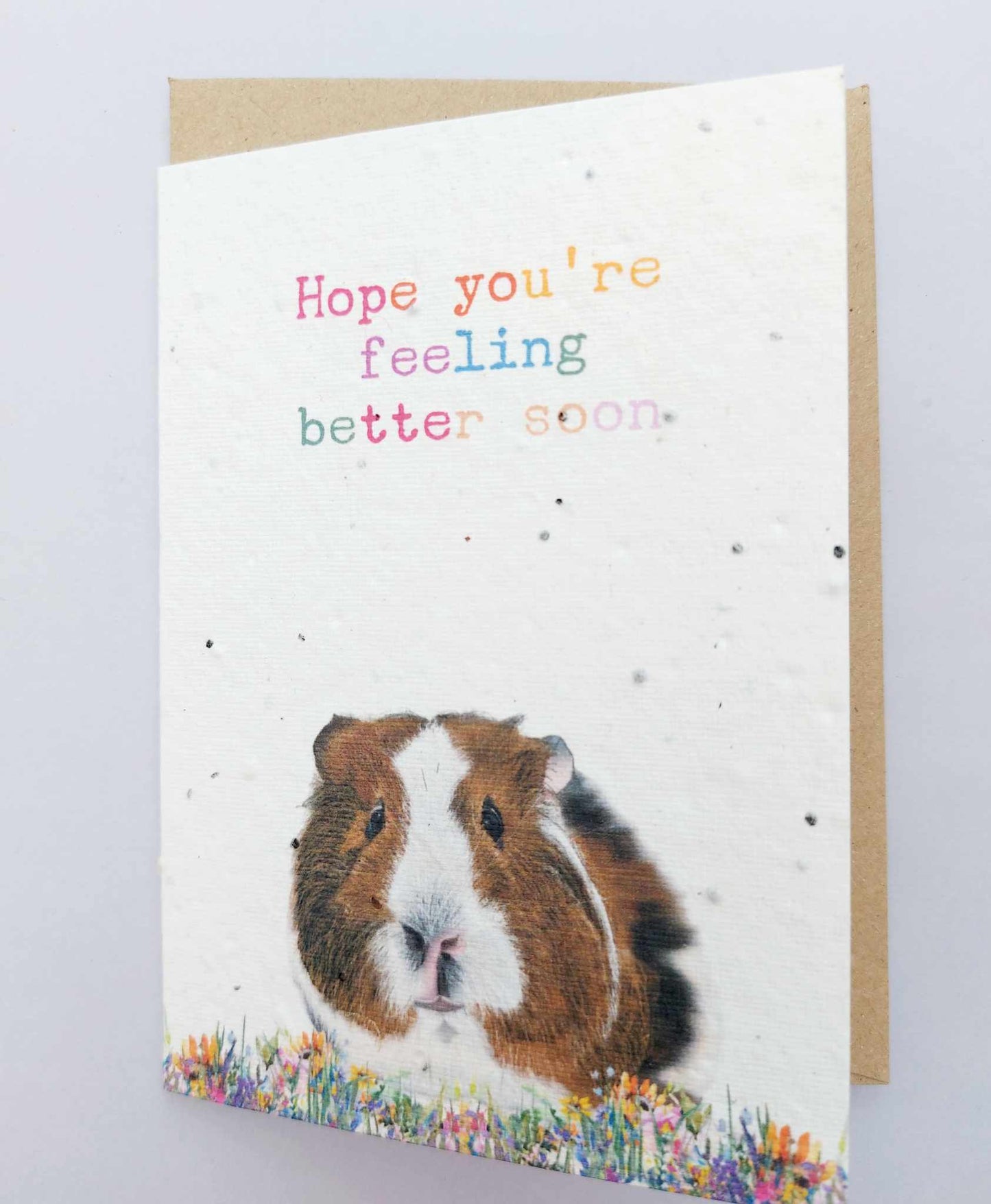 PLANTABLE Guinea pig Get well soon Seed Cards - Eco and VEGAN friendly Wildflower cards - Seed paper cards - Plantable get well soon cards