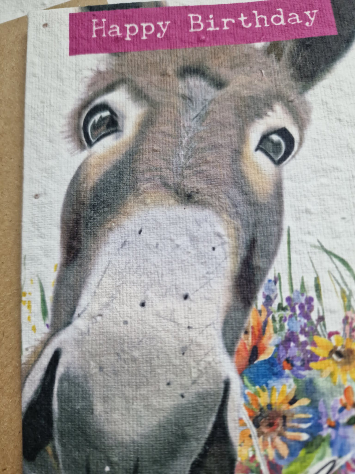 Funny Donkey Plantable Seed Paper Birthday Card – A6 Eco-Friendly Card