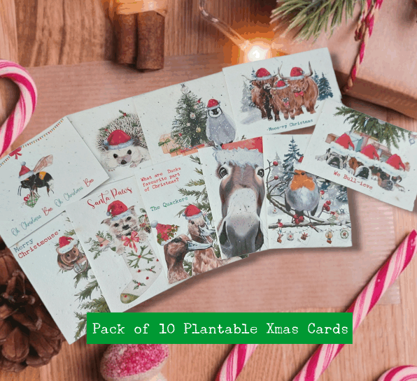 Christmas Plantable seed cards pack of 10 with envelopes - Eco friendly Christmas cards - Flower seed Christmas cards- Pack of 10 farm themed Christmas cards