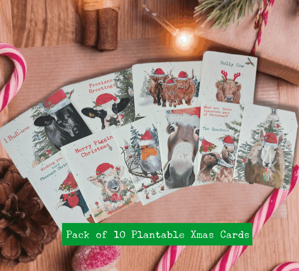 Christmas Plantable seed cards pack of 10 with envelopes - Eco friendly Christmas cards - Flower seed Christmas cards- Pack of 10 farm themed Christmas cards