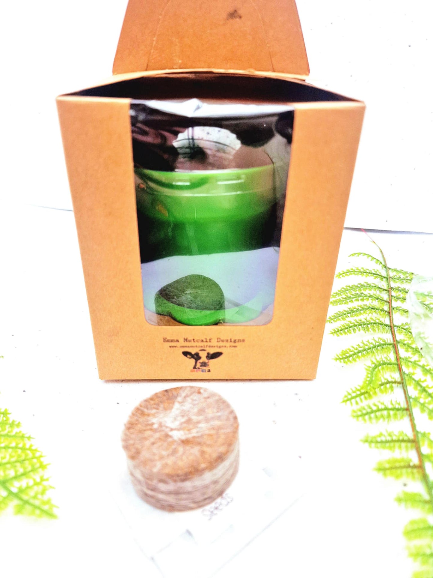 Grow Your Own Dancing Plant Kit - Mimosa Pudica – Fun & Interactive Plant Gift - Stocking filler