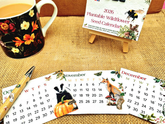 Mini Plantable Seed Calendar 2026 | A7 Size | 12 Original Artworks | Wildflower Paper | Wooden Easel Stand | Eco Friendly Gift