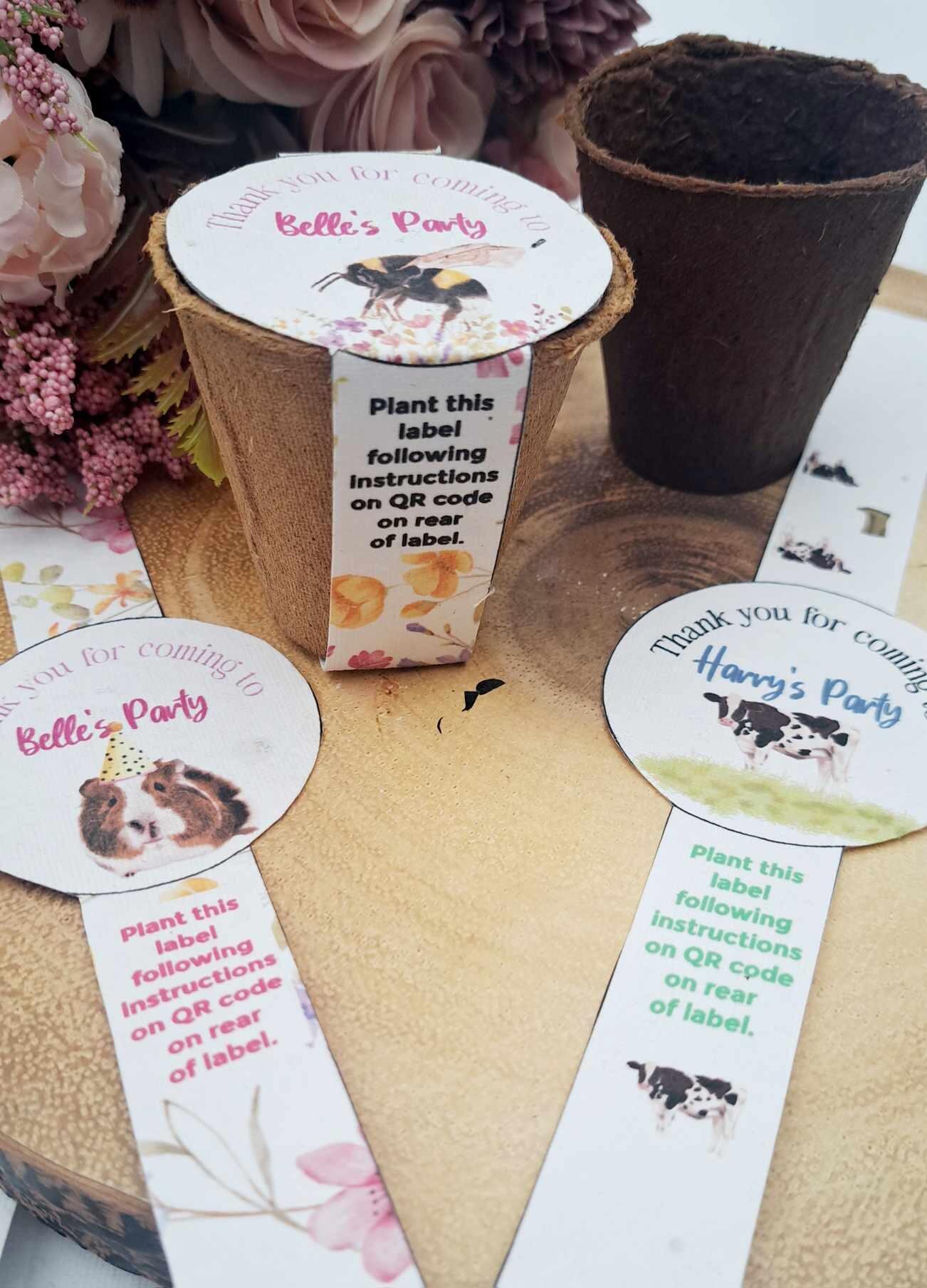 Grow your own Sunflowers kit- personalised party favours -Plastic Free Party Bag Fillers. Eco- Friendly Party Favours- End of term gifts.