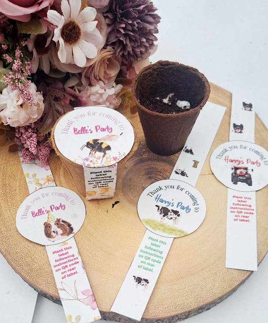 Grow your own Sunflowers kit- personalised party favours -Plastic Free Party Bag Fillers. Eco- Friendly Party Favours- End of term gifts.