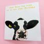 Holstein Funny Birthday Cards - Farm - Cow Birthday Card -Dairy Cow -  Farmer - Female birthday- Male birthday - Fresian