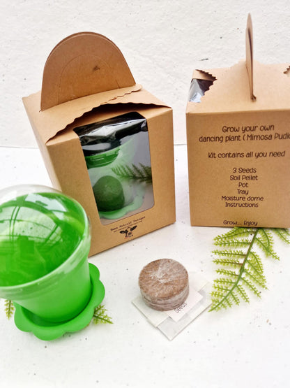 Grow Your Own Dancing Plant Kit - Mimosa Pudica – Fun & Interactive Plant Gift - Stocking filler