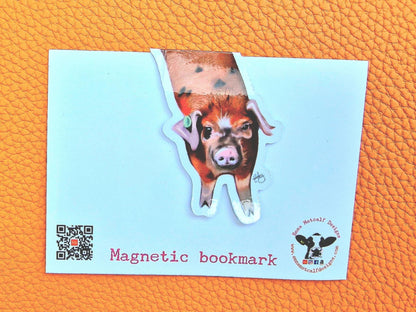 Clarkson's Farm "Diddly Squat" quirky Magnetic Bookmark – Original Art, Double-Sided, Matte or Gloss Finish-Richard Ham-Jeremy Clarkson