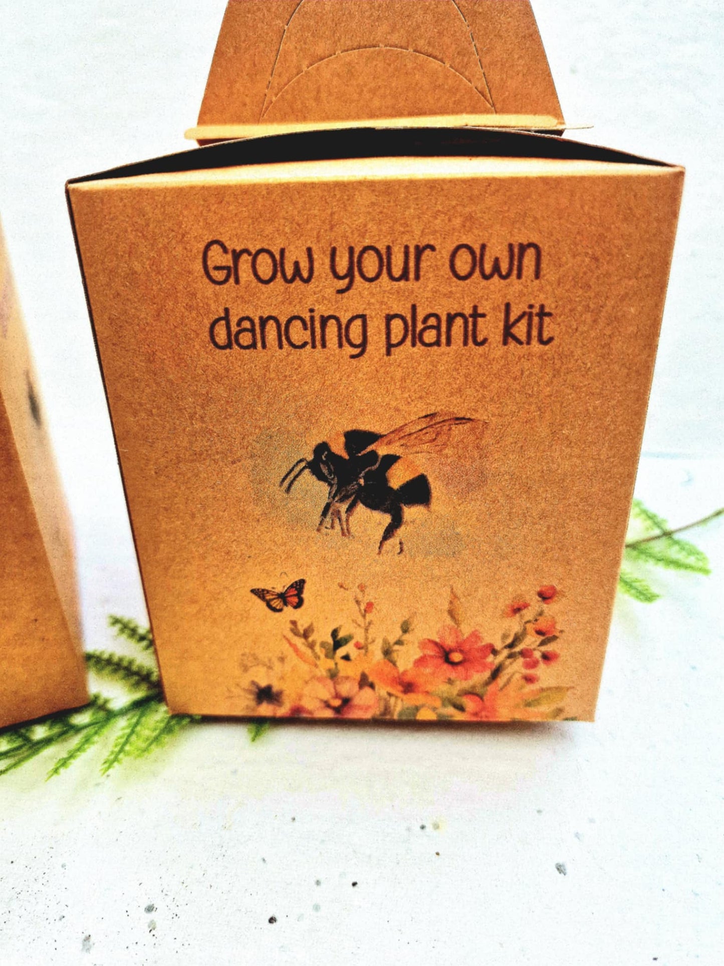 Grow Your Own Dancing Plant Kit - Mimosa Pudica – Fun & Interactive Plant Gift - Stocking filler