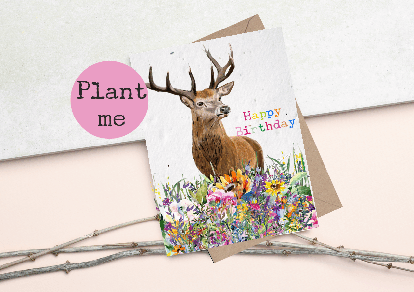 Special offer Eco Friendly Plantable Seed cards - Birthday set, 5 card set
