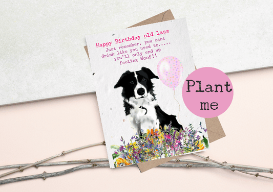 Funny Dog Birthday card - Feeling woof - Funny aging birthday greetings card for male- female -open card