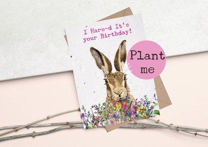 Hare plantable seed paper Birthday Cards-  Grow me- ECO and VEGAN Friendly greetings cards
