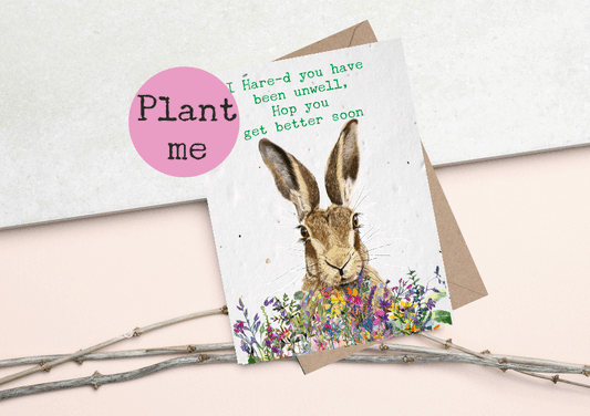 Get well soon -PLANTABLE  flower Seed Cards- Bee Cards - Wildflower cards -Get well soon - Hare