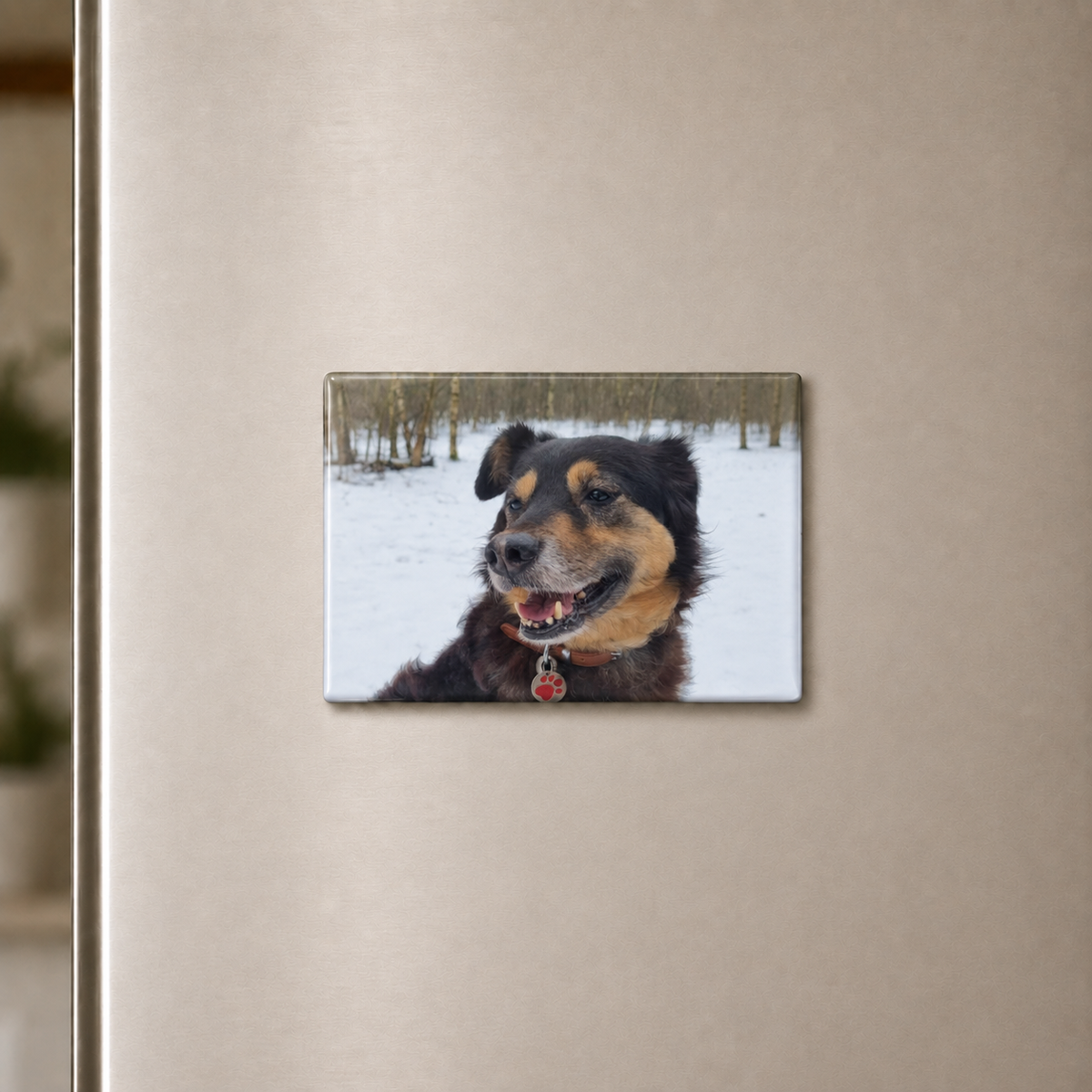 Personalised Photo Fridge Magnets