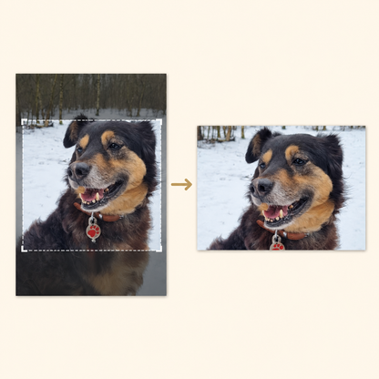 Personalised Photo Fridge Magnets