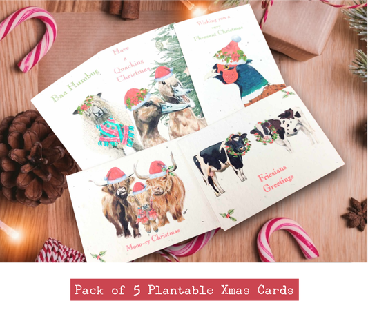 5 plantable wildflower seed Christmas cards - Pack of  Seed paper Christmas card with envelopes