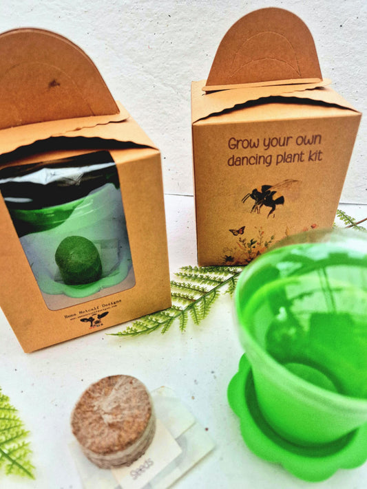 Grow Your Own Dancing Plant Kit - Mimosa Pudica – Fun & Interactive Plant Gift - Stocking filler
