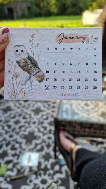 Plantable Wildflower Calendar 2027 – Seed Paper Desk Calendar