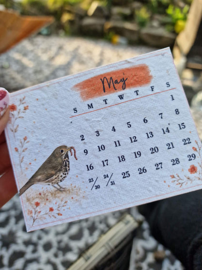 Plantable Wildflower Calendar 2027 – Seed Paper Desk Calendar