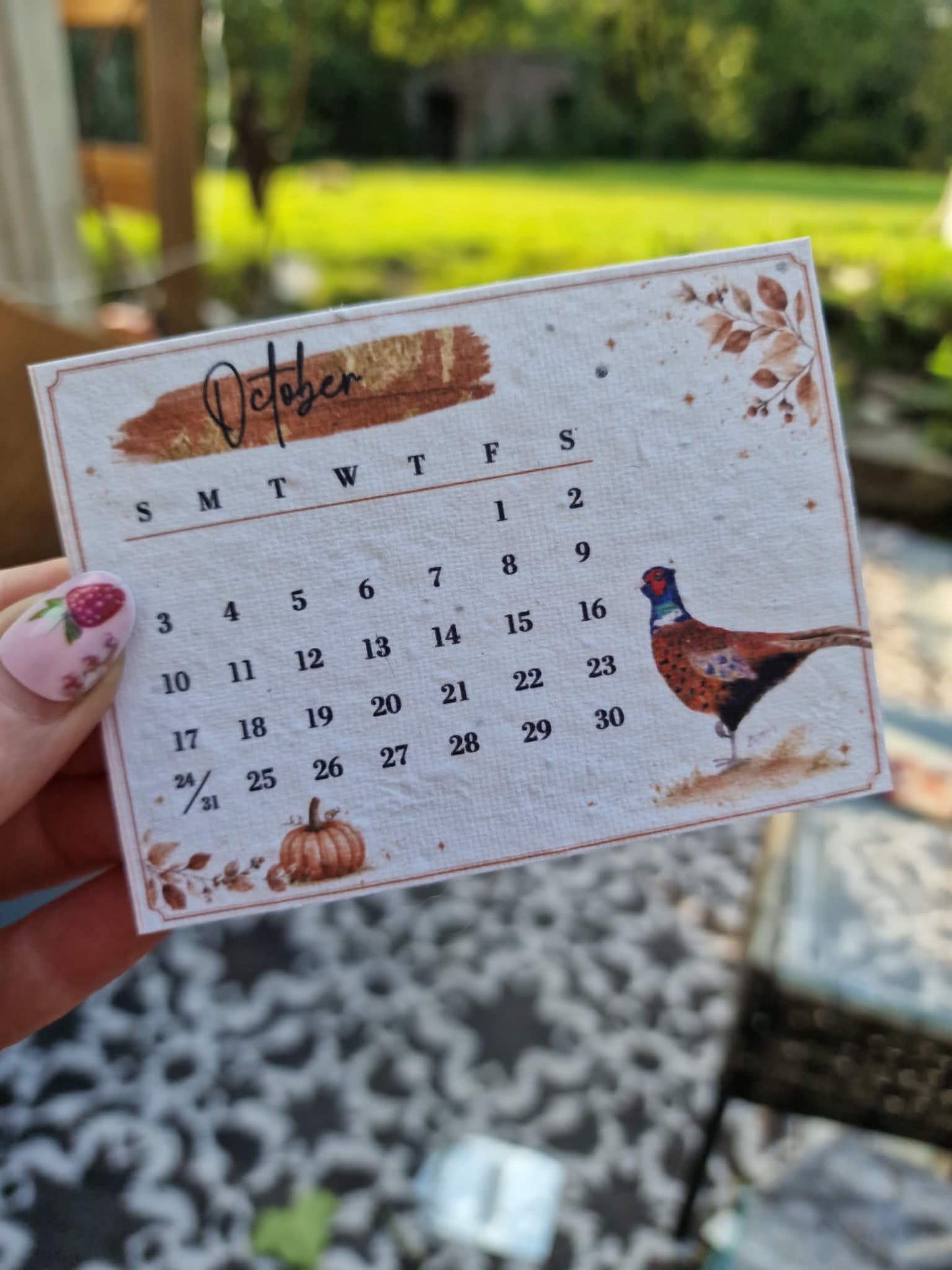 Plantable Wildflower Calendar 2027 – Seed Paper Desk Calendar