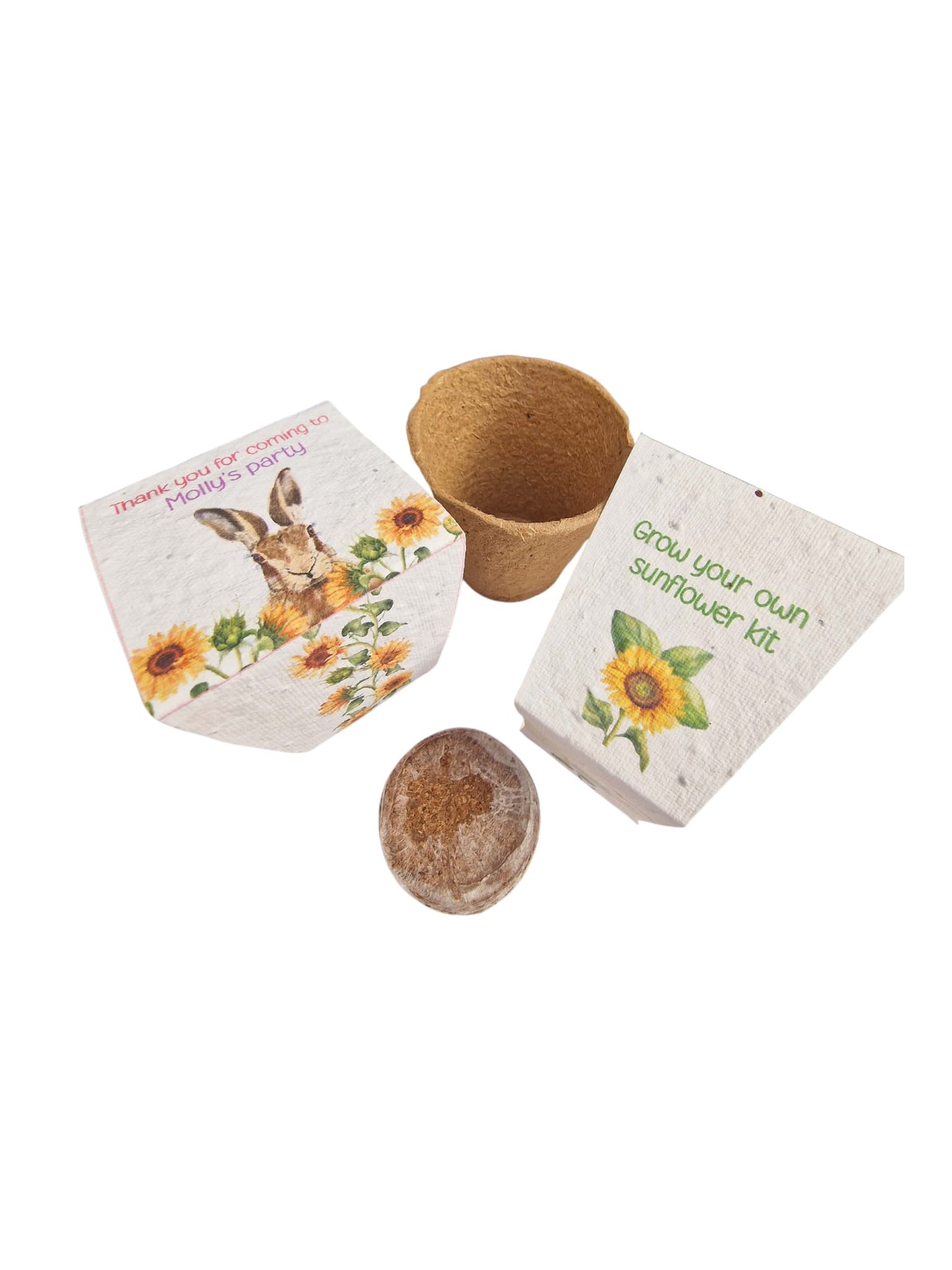 Grow your own Sunflowers kit- personalised party favours -Plastic Free Party Bag Fillers. Eco- Friendly Party Favours- End of term gifts.