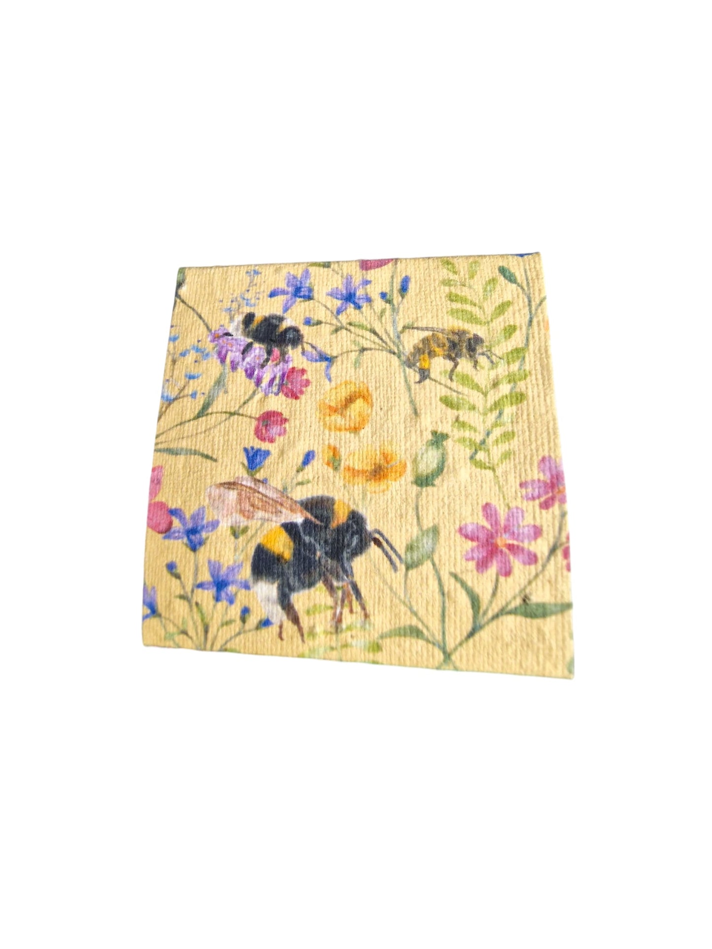 Grow your own Sunflowers kit- personalised party favours -Plastic Free Party Bag Fillers. Eco- Friendly Party Favours- End of term gifts.