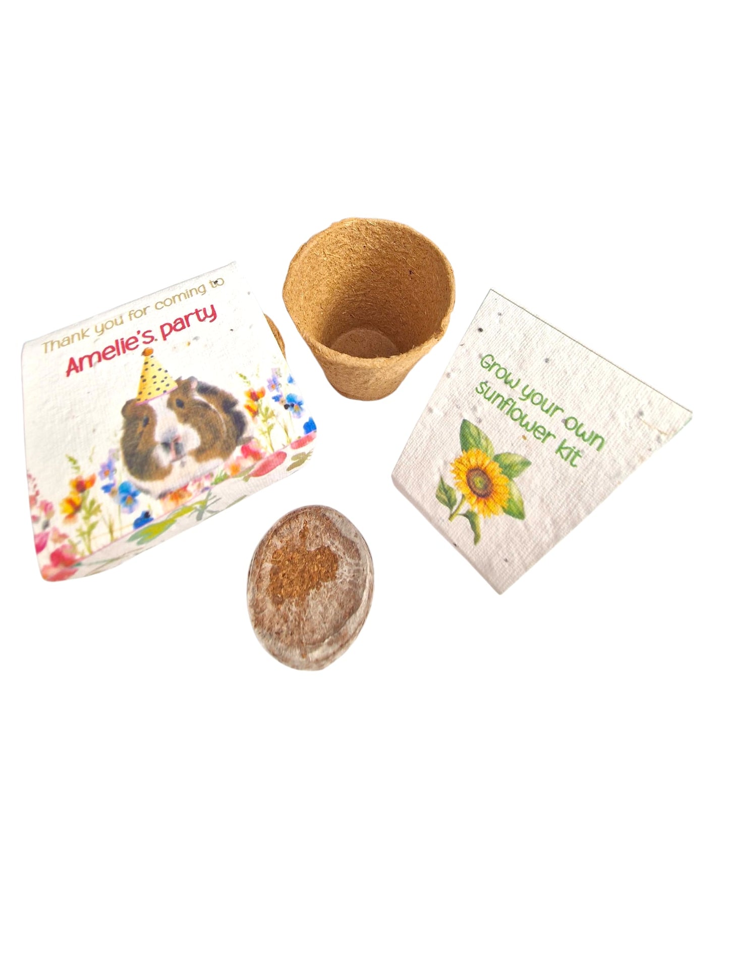Grow your own Sunflowers kit- personalised party favours -Plastic Free Party Bag Fillers. Eco- Friendly Party Favours- End of term gifts.